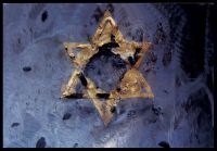 Holocaust Memorial Star